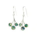 Abalone Water Drop Earrings